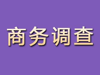 辽宁商务调查